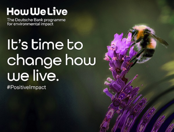 How We Live visual - bee in nature